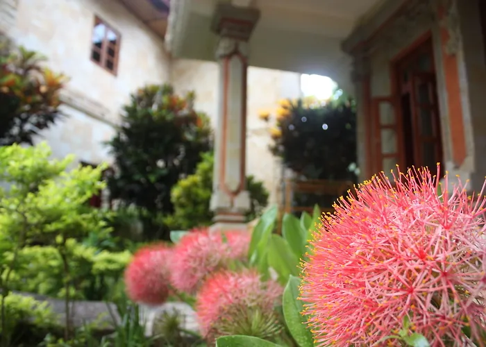 Rambutan Boutique 3* ロヴィーナ